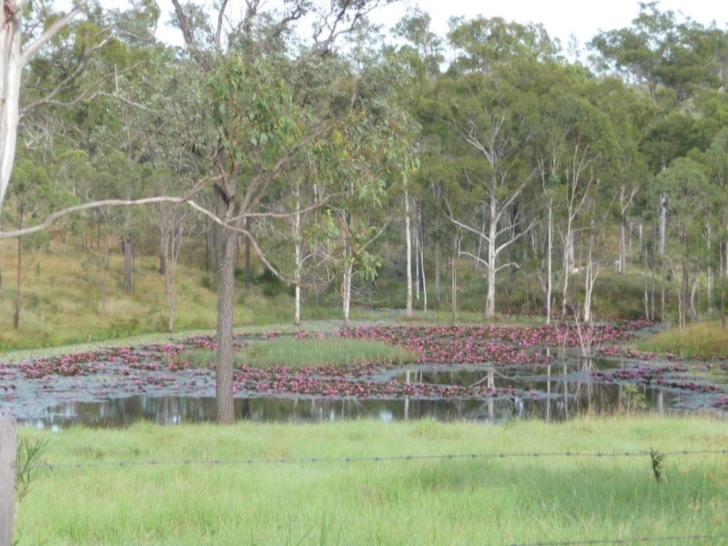 MUNDUBBERA QLD 4626, Mundubbera - Thumbnail 2