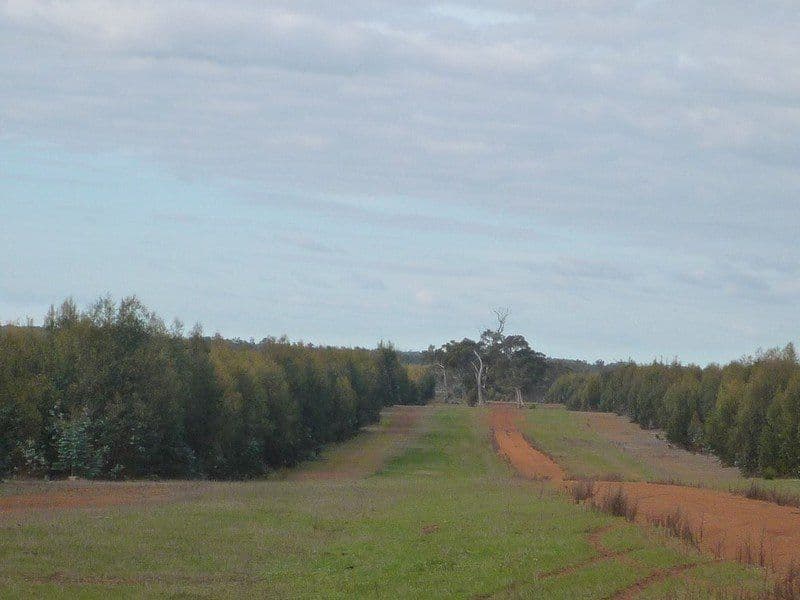 12564 Yarnup Road, ROCKY GULLY WA 6397, Rocky Gully - Thumbnail 4