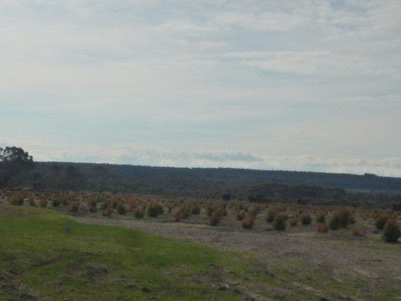 12564 Yarnup Road, ROCKY GULLY WA 6397, Rocky Gully - Thumbnail 5