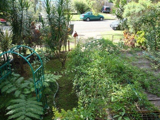 82 Lancelot Street, TENNYSON QLD 4105, Tennyson - Thumbnail 7
