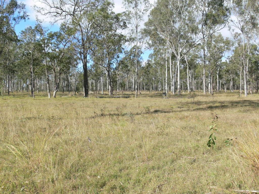 GATTON QLD 4343, Gatton - Thumbnail 5