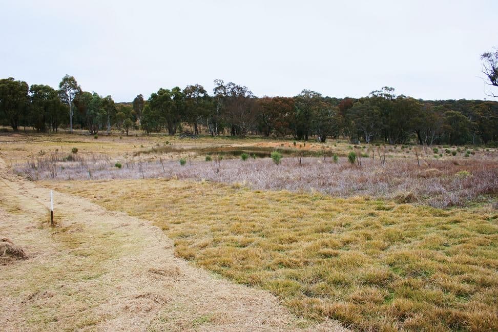 2592 Range Road, GOULBURN NSW 2580, Goulburn - Thumbnail 6