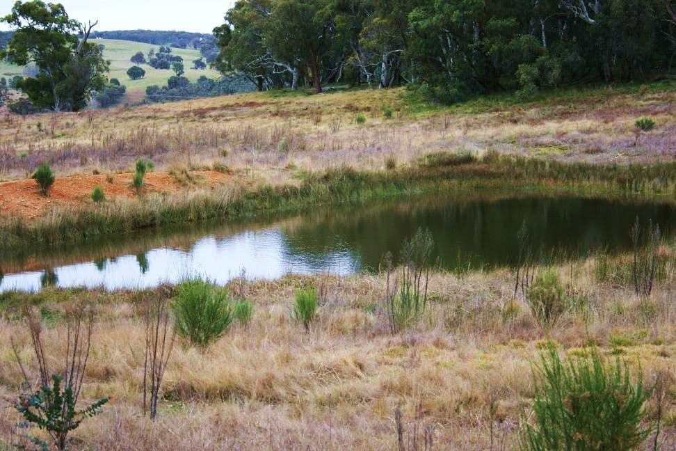 2592 Range Road, GOULBURN NSW 2580, Goulburn - Thumbnail 4
