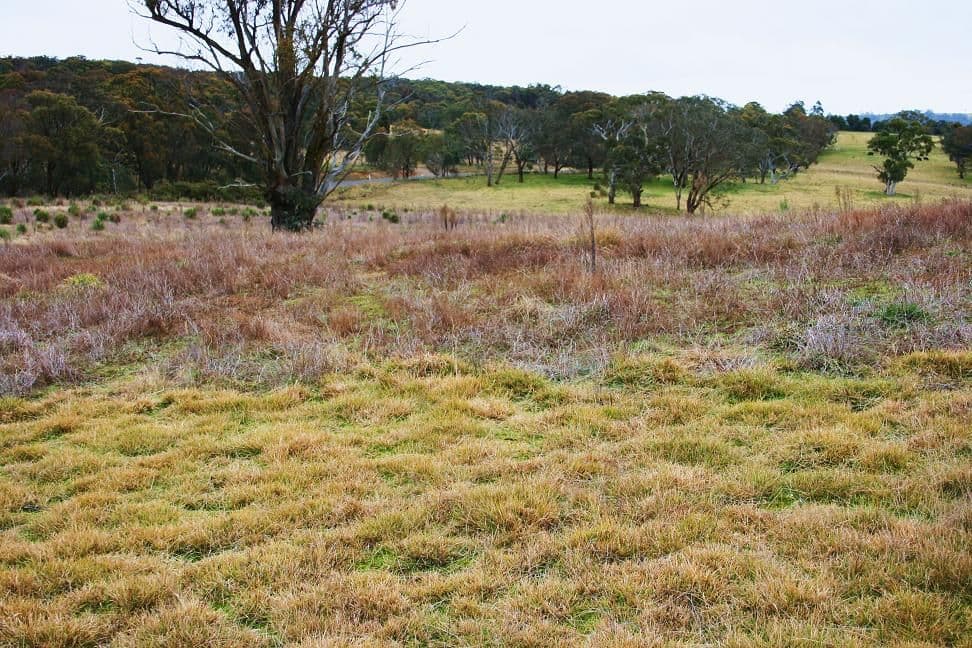 2592 Range Road, GOULBURN NSW 2580, Goulburn - Thumbnail 7
