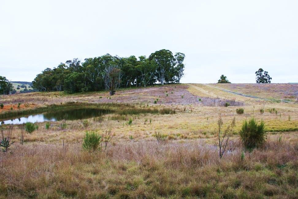 2592 Range Road, GOULBURN NSW 2580, Goulburn - Thumbnail 3