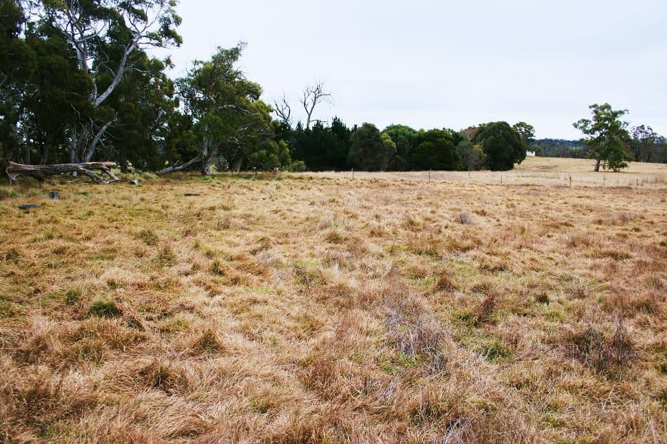 2592 Range Road, GOULBURN NSW 2580, Goulburn - Thumbnail 8