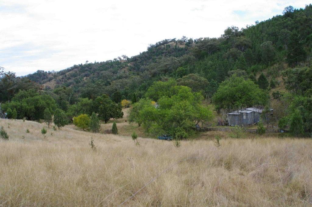 "Bonnie Brae" Back Limbri Road, MOONBI NSW 2353, Moonbi - Thumbnail 7