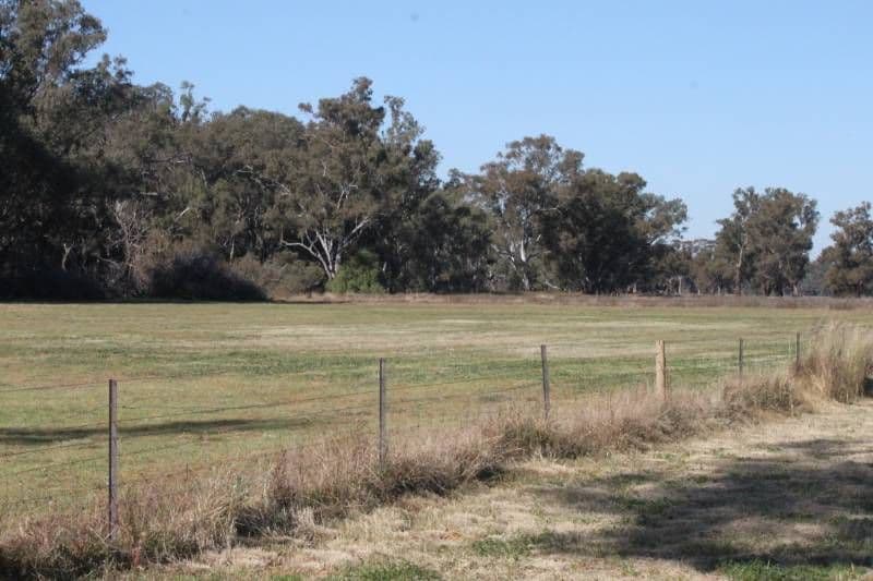 FORBES NSW 2871, Forbes - Thumbnail 4