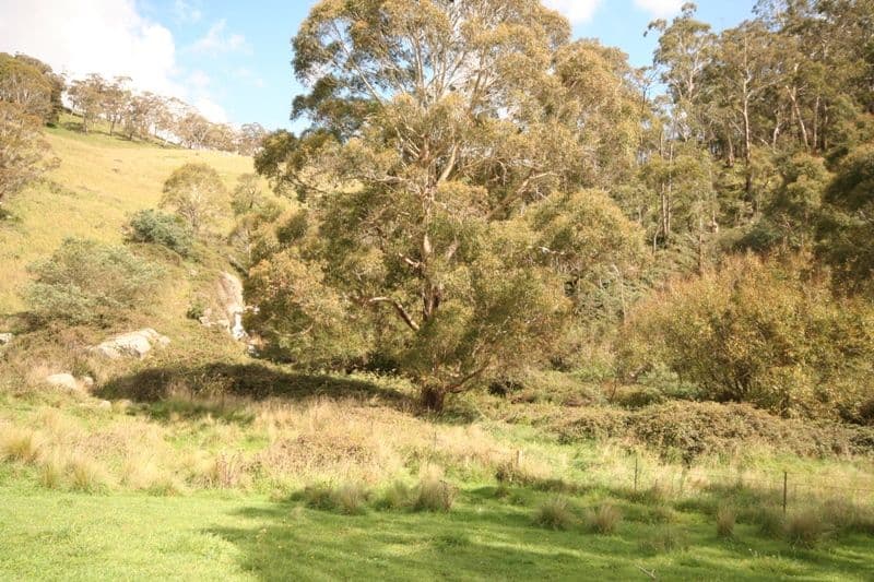 260 The Meadows Road, OBERON NSW 2787, Oberon - Thumbnail 3
