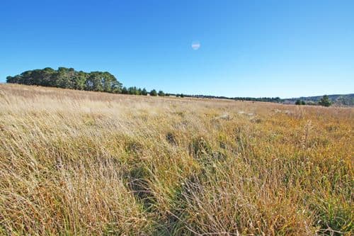 199 Mount Fairy Road, BUNGENDORE NSW 2621, Bungendore - Thumbnail 3