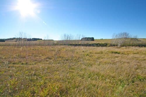 199 Mount Fairy Road, BUNGENDORE NSW 2621, Bungendore - Image 1