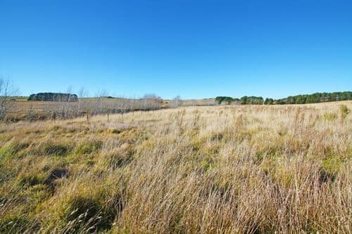 199 Mount Fairy Road, BUNGENDORE NSW 2621, Bungendore - Thumbnail 2