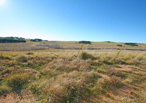 199 Mount Fairy Road, BUNGENDORE NSW 2621, Bungendore - Thumbnail 5