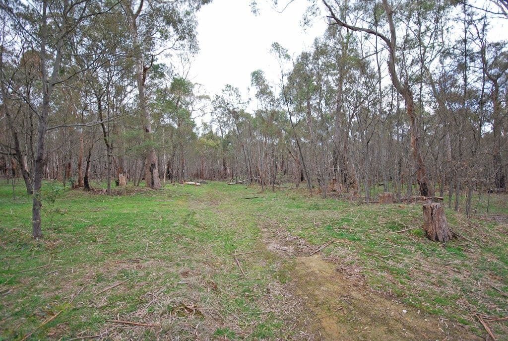 39 Spearys Road, DEREEL VIC 3352, Dereel - Thumbnail 3