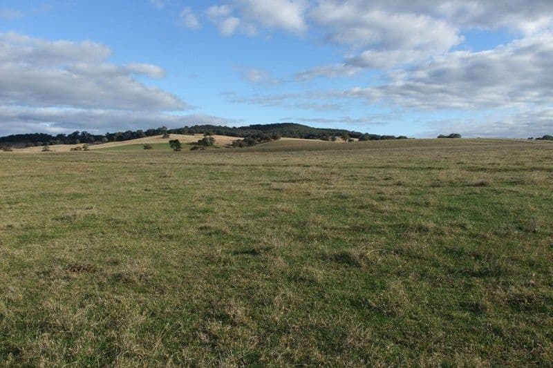 2 Milpost Creek Road, BLAYNEY NSW 2799, Blayney - Thumbnail 8