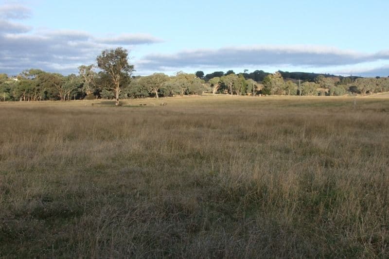 2 Milpost Creek Road, BLAYNEY NSW 2799, Blayney - Thumbnail 3