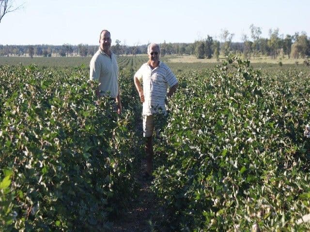 GLENMORGAN QLD 4423, Glenmorgan - Thumbnail 4