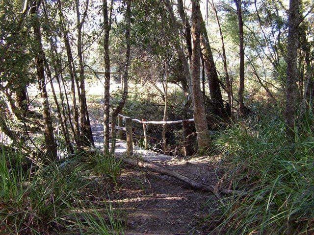 225 Salisbury Hill Road, FLOWERY GULLY TAS 7270, Flowery Gully - Thumbnail 2