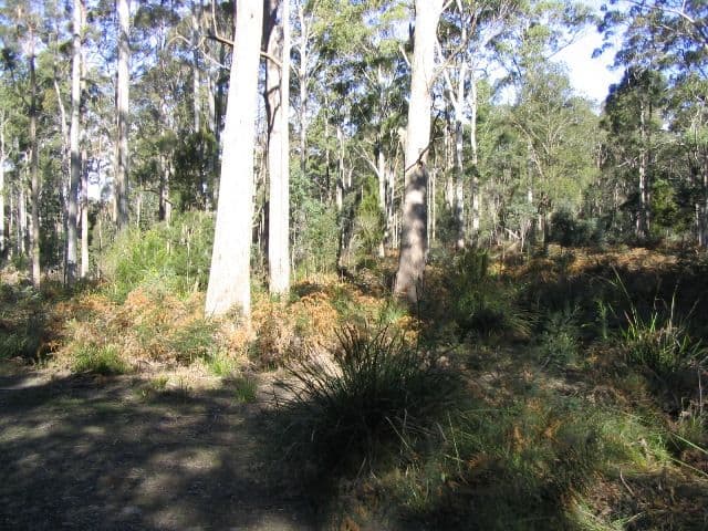 225 Salisbury Hill Road, FLOWERY GULLY TAS 7270, Flowery Gully - Thumbnail 3