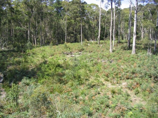 225 Salisbury Hill Road, FLOWERY GULLY TAS 7270, Flowery Gully - Thumbnail 4