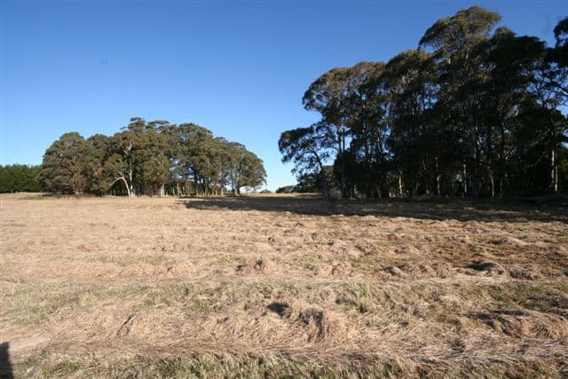101 Tuglow Road, GINGKIN NSW 2787, Gingkin - Image 1