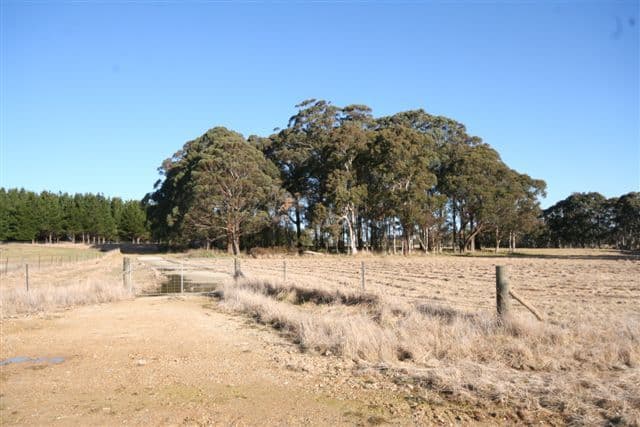 101 Tuglow Road, GINGKIN NSW 2787, Gingkin - Thumbnail 5
