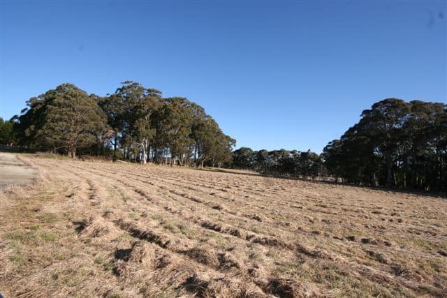 101 Tuglow Road, GINGKIN NSW 2787, Gingkin - Thumbnail 6