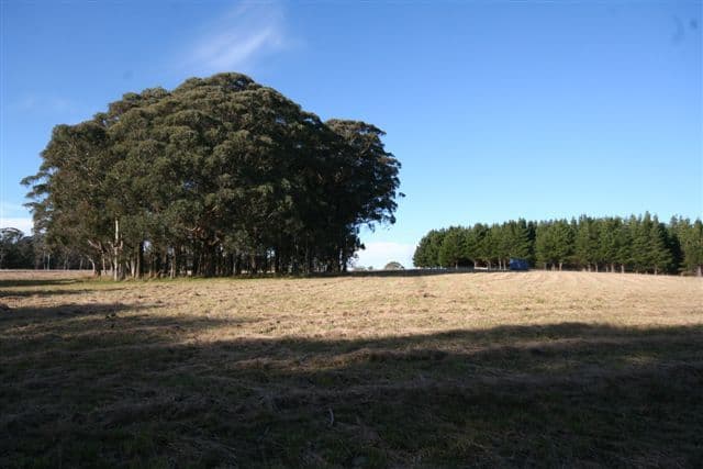 101 Tuglow Road, GINGKIN NSW 2787, Gingkin - Thumbnail 7