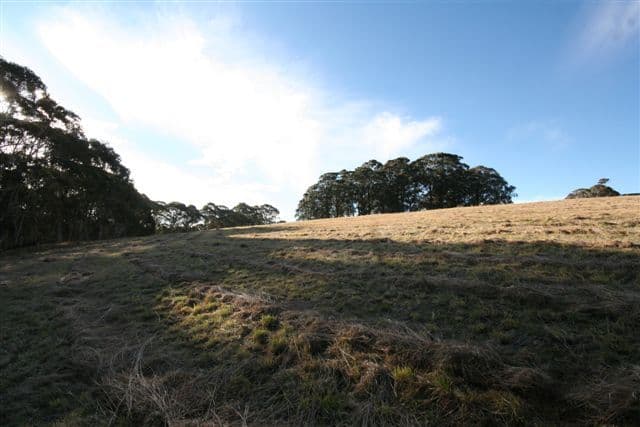 101 Tuglow Road, GINGKIN NSW 2787, Gingkin - Thumbnail 3