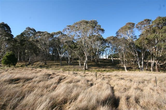 101 Tuglow Road, GINGKIN NSW 2787, Gingkin - Thumbnail 4