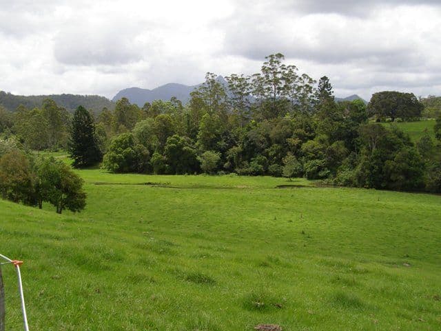 571 Doon Doon Road, DOON DOON NSW 2484, Doon Doon - Thumbnail 3