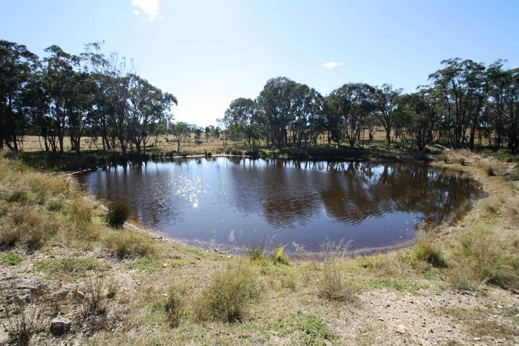 21727 New England Highway, DALVEEN QLD 4374, Dalveen - Image 1