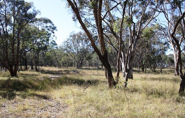 21727 New England Highway, DALVEEN QLD 4374, Dalveen - Thumbnail 8