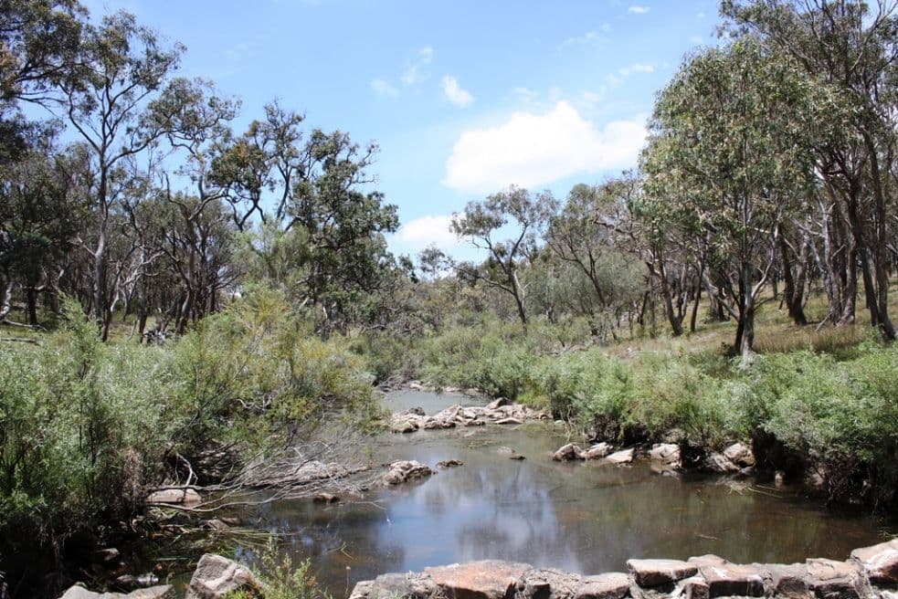 21727 New England Highway, DALVEEN QLD 4374, Dalveen - Thumbnail 2