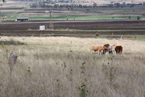 0 paddys Lane, PITTSWORTH QLD 4356, Pittsworth - Thumbnail 4