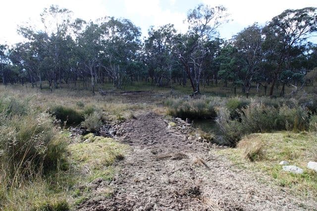 21727 New England Highway, DALVEEN QLD 4374, Dalveen - Thumbnail 3