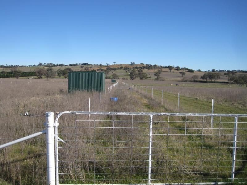 927 Henry Lawson Way, YOUNG NSW 2594, Young - Thumbnail 2