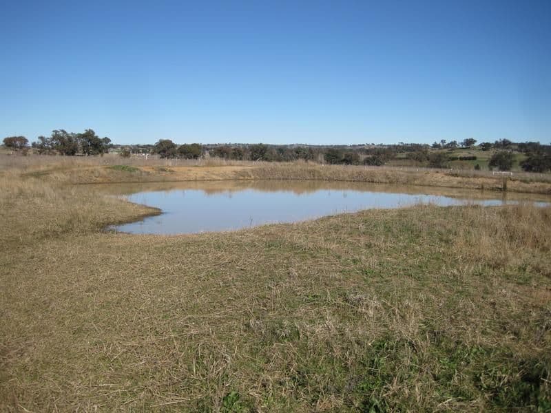 927 Henry Lawson Way, YOUNG NSW 2594, Young - Thumbnail 3