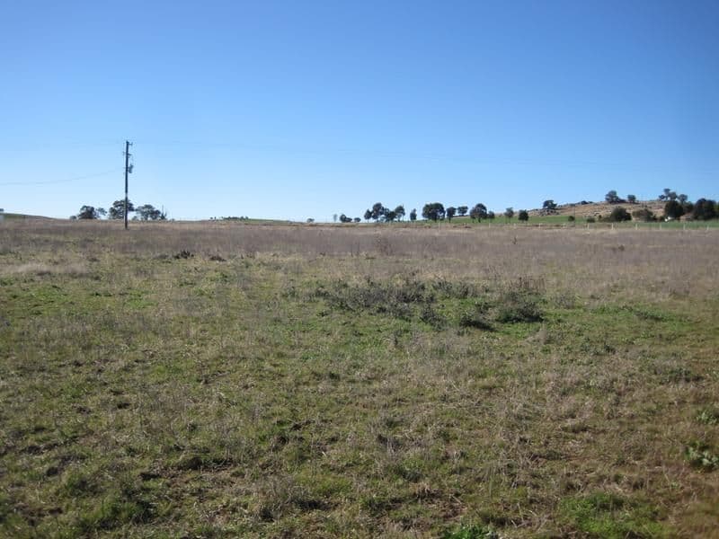 927 Henry Lawson Way, YOUNG NSW 2594, Young - Thumbnail 5