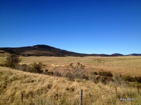12 Jerrabattgulla, BRAIDWOOD NSW 2622, Braidwood - Thumbnail 2
