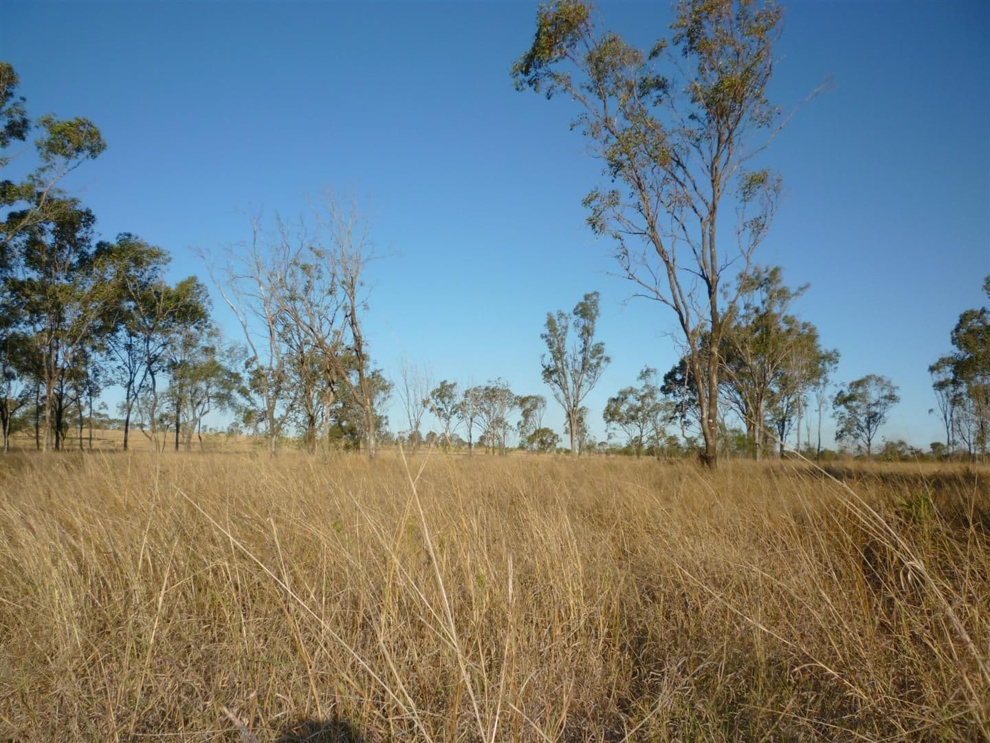 Lot 8 Burnett Highway, BOULDERCOMBE QLD 4702, Bouldercombe - Thumbnail 5