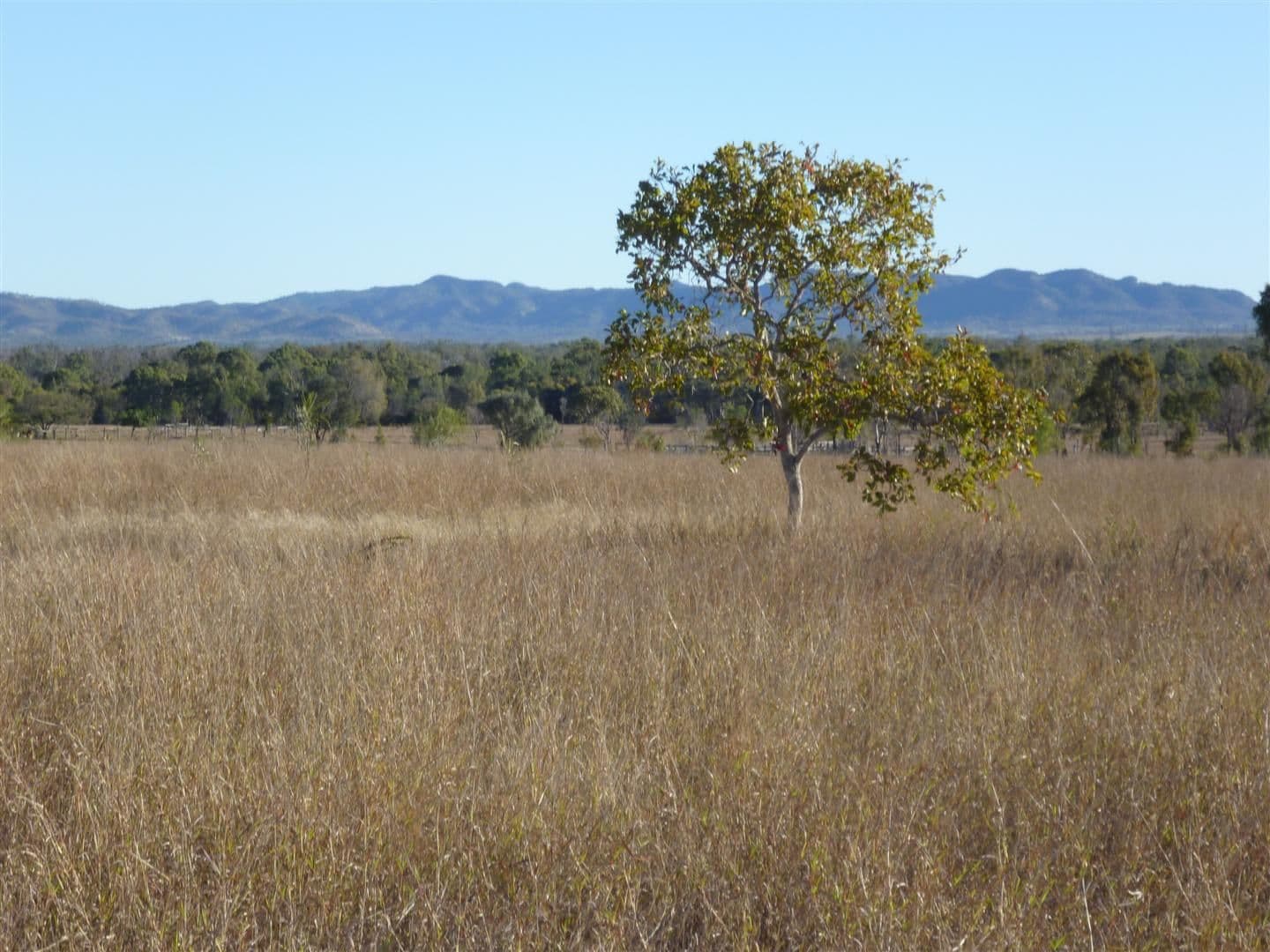 Lot 8 Burnett Highway, BOULDERCOMBE QLD 4702, Bouldercombe - Thumbnail 8