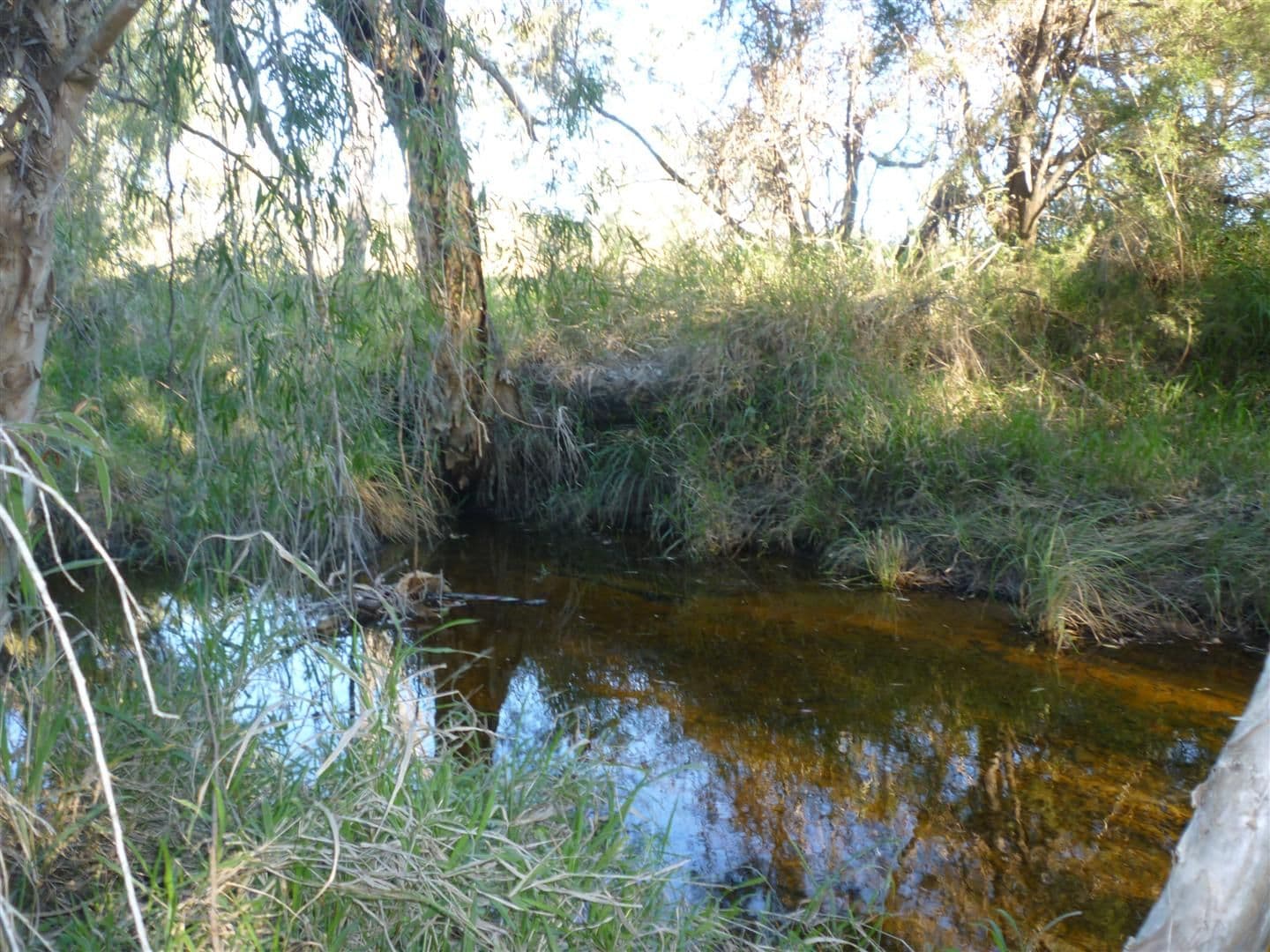 Lot 8 Burnett Highway, BOULDERCOMBE QLD 4702, Bouldercombe - Thumbnail 6