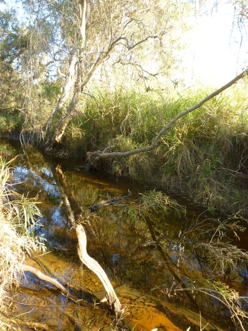 Lot 8 Burnett Highway, BOULDERCOMBE QLD 4702, Bouldercombe - Thumbnail 4