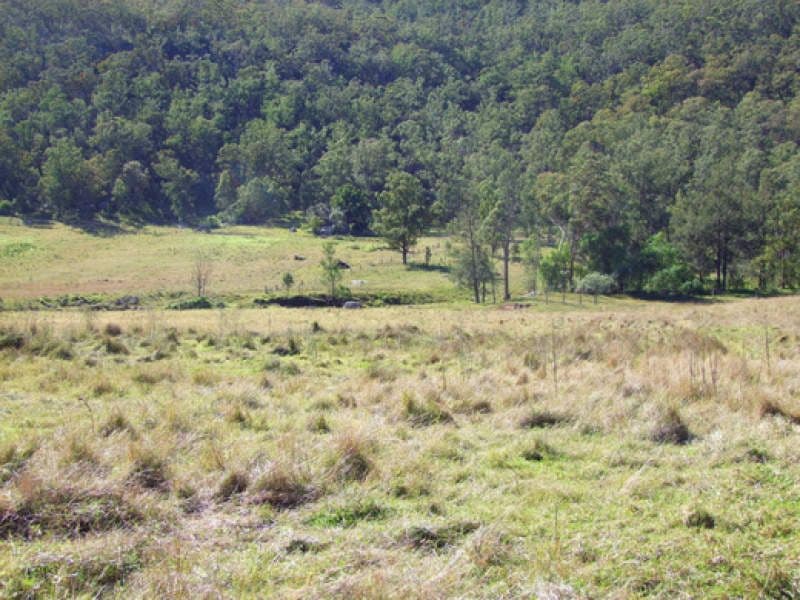 341 Wollombi Street, BROKE NSW 2330, Broke - Thumbnail 3