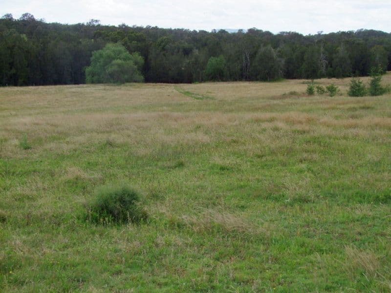 276 Dyrring Road, SINGLETON NSW 2330, Singleton - Thumbnail 7