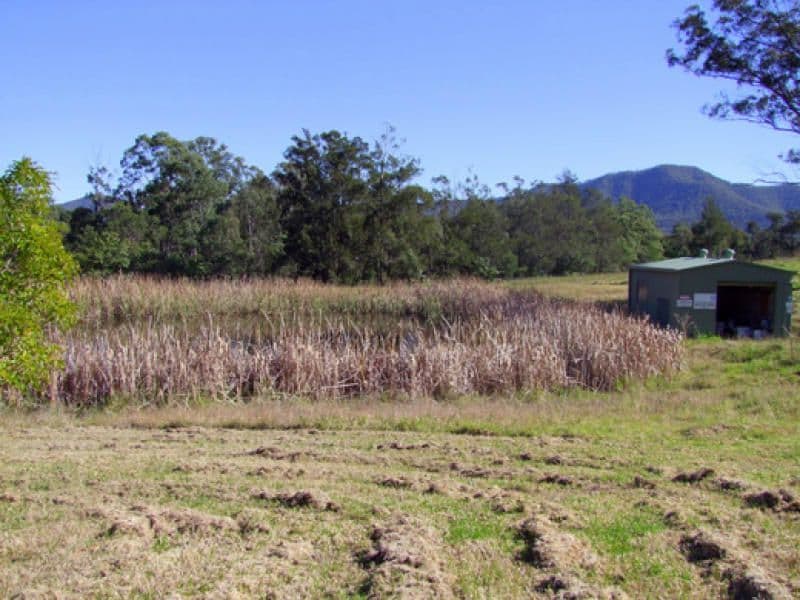 341 Wollombi Street, BROKE NSW 2330, Broke - Thumbnail 5