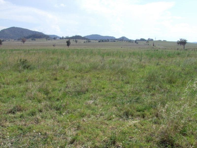 197 Mount Dangar Road, SANDY HOLLOW NSW 2333, Sandy Hollow - Thumbnail 3