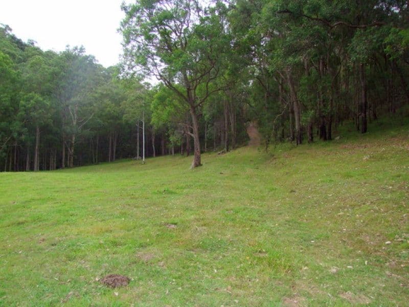 Lot 2, 1850 Putty Valley Road, PUTTY NSW 2330, Putty - Thumbnail 4