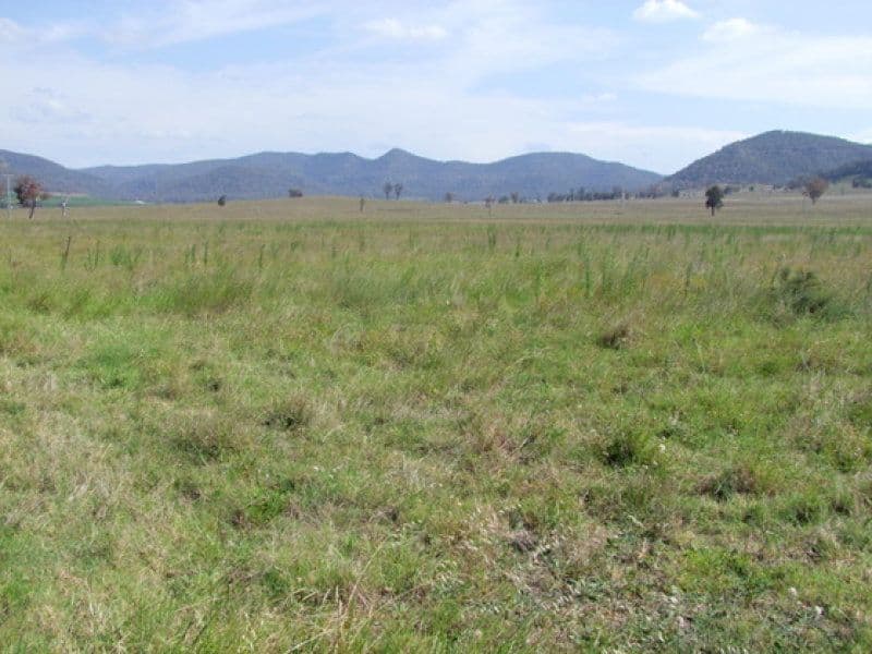 197 Mount Dangar Road, SANDY HOLLOW NSW 2333, Sandy Hollow - Thumbnail 4